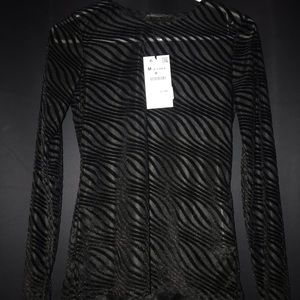ZARA sheer/velvet top